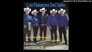 Los Faisanes Del Valle Soledad [upl. by Niliram567]