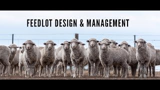 Practical feedlot seminar Feedlot design and management [upl. by Reed786]