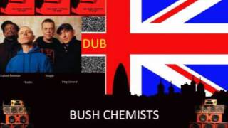 Bush Chemists amp Culture Freeman  Dread in a Babylon [upl. by Mareah460]