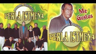 Marimba Orquesta Perla Istmeña Disco Mambo Nena [upl. by Ycats259]