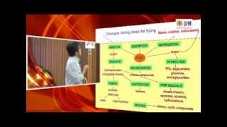 IMK421 Lecture 11 13th December 2012 — Changes During Deep Fat Frying [upl. by Bissell]