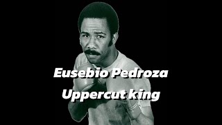 Eusebio Pedroza  body amp head uppercuts [upl. by Ham]