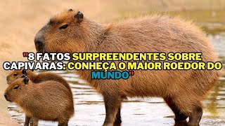 8 Fatos Surpreendentes sobre Capivaras Conheça o Maior Roedor do Mundo  capivara animais [upl. by Lunetta291]