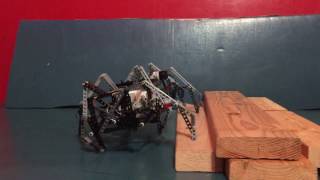 EV3 Klann Spider Robot [upl. by Fang]