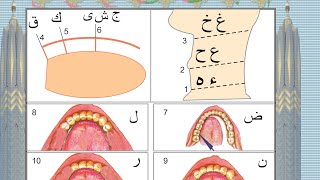 arabic huruf 29 makhraj 17 Arabic letters pronunciation [upl. by Adriene534]