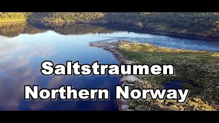 Сальстраумен Белые ночи Красивая панорама Saltstraumen Norway [upl. by Sontich921]