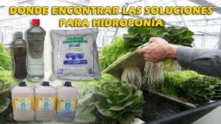 SOLUCION HIDROPÓNICA EN DONDE PUEDES CONSEGUIR LOS INSUMOS [upl. by Pergrim]