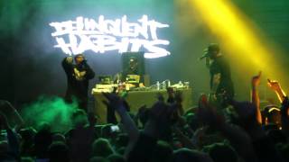 Delinquent Habits  Tres Delinquentes live in Prague [upl. by Otit370]