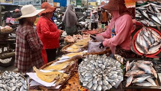 Life In Market Food Idea Food Vlogs Walking Around Wet Cambodian Street food Alive amp Dried Fish [upl. by Amitie]