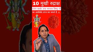 10 Mukhi Rudraksha Imformation  10 Mukhi Rudraksha Benefits rudraksha song [upl. by Nakada37]