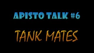 Apisto Talk 6  Tank Mates [upl. by Airoled]