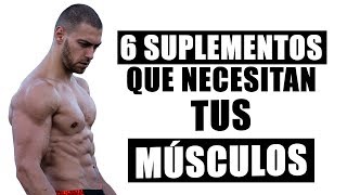 6 Mejores Suplementos para Aumentar Masa Muscular [upl. by Ffilc]