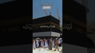 Live Hajj today 2024  Makkah live  Hajj live  Quran without ads [upl. by Wakefield886]