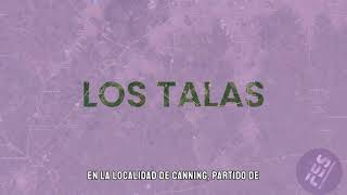 LOS TALAS [upl. by Anwahsad238]