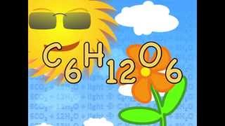 Photosynthesis Equation Song  Biology Lesson [upl. by Egwin294]