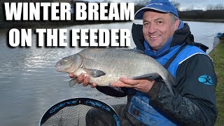 Bream In Winter On The Feeder [upl. by Enwahs]