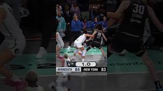 INSANE Last Two Seconds of the FINALS nba wnba sports [upl. by Meeks]