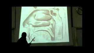 Dr Sherif Galal Neck 15 quotNose  Nasal cavity amp Paranasal sinus quot [upl. by Attevroc]