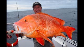 Insane Fishing on Rainbow Escape Charters Reds Snapper Nannygai Mulloway Amberjack [upl. by Kinnie]