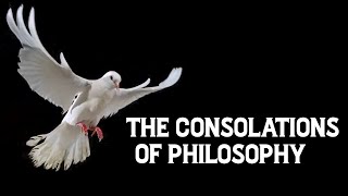 The Consolations Of Philosophy Music Video [upl. by Derrek334]