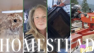 Farm UpdateMoving huge wood stove out of tiny houseSawmillingVlog 23 [upl. by Anaeda]