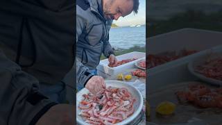 Langoustines homards et bons vivants sur l’île aux moines 🦞🔥🥂 Gueuleton shorts [upl. by Saraiya]