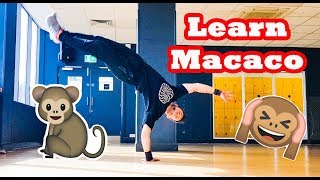 How To Learn And Progress Your Macaco [upl. by Carnahan]