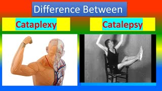 Difference between Cataplexy and Catalepsy [upl. by Gnuh]