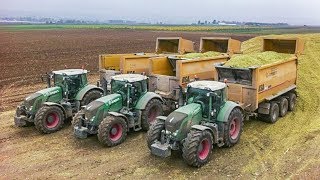 FENDT Traktoren  Lohnunternehmen Jumpers  Claas Jaguar 980  Maishäckseln [upl. by Amatruda843]