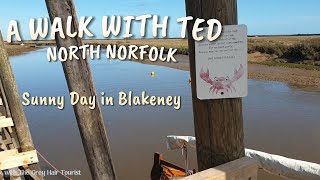 Sunny Day in Blakeney North Norfolk with me A Walk with Ted Who is The Grey Hair Tourist [upl. by Akenet]