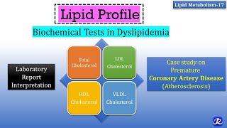 17 Lipid Profile  Biochemical tests in Dyslipidemia  Lipid Metabolism17  Biochemistry [upl. by Jock]