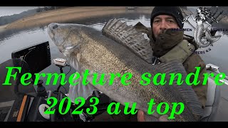 Fermeture du sandre 2023 les poissons sont au rendez vous [upl. by Ikey107]