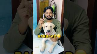 Pogo Makeup Kit Kha Gya😂😂 shorts vlog minivlog puppy labrador [upl. by Lanford970]