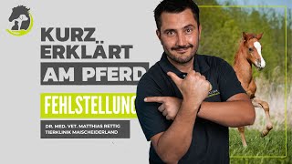 FEHLSTELLUNGEN  X und OBeinigkeit beim Fohlen Frühzeitige Diagnose kurz erklärt am Pferd [upl. by Grail]