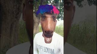 Horse Funny Face Filter 😁 🤣 shorts funny filter [upl. by Willdon]