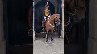 Guard shouts at Tourist stand back from the Queens life Guards horseguardsparade [upl. by Juli427]