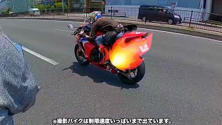 Aggressive HONDA CBR600RR Sound [upl. by Swarts]