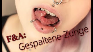 FampA Meine gespaltene Zunge  ❄ Lilith Whitic ❄ [upl. by Duahsar]