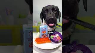 Mukbang with cute dog doglovers shorts video [upl. by Einnor]