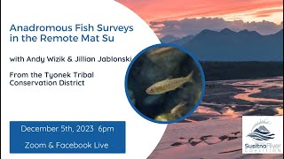 Anadromous Fish Surveys in the Remote MatSu with Andy Wizik and Jillian Jablonski [upl. by Daffie536]