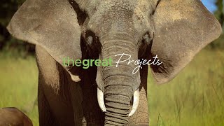 Volunteer with The Great Projects [upl. by Meit611]