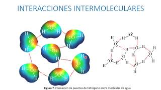 Interacciones intermoleculares [upl. by Eenolem]