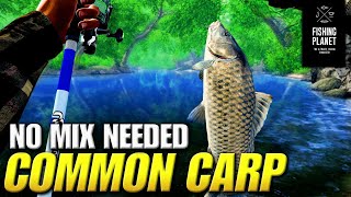 Common Carp Hotspot on Neherrin River  Fishing Planet [upl. by Rick184]