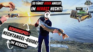 HechtGuide im Herbst 🎣  Hechtangeln im Herbst  Beste Hechtköder Barschköder Nays  Westin [upl. by Shir605]