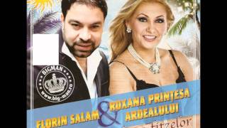 Florin Salam si Roxana Printesa Ardealului  Am acasa un tablou 2011 [upl. by Notsob]