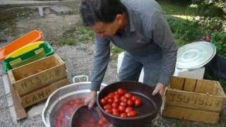 Making passata [upl. by Laleb]