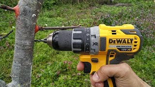 ПРИВИВКА ДРЕЛЬЮ  grafting plum drill [upl. by Cocke]