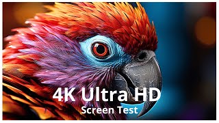 🌍 4K Ultra HD Screen Test  Visual Perfection in Every Pixel ✨ [upl. by Ander]