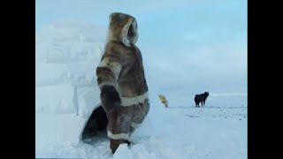 Building My First Igloo  A Boy Among Polar Bears  BBC Earth [upl. by Tad]