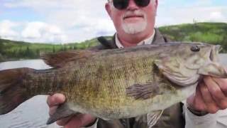 Big Smallmouth Topwater Action  Hawk Lake Lodge [upl. by Alyssa930]